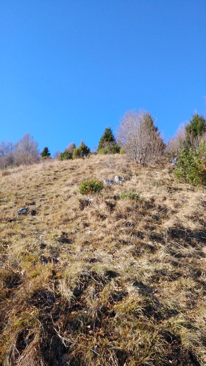 Cerkev Sv. Petra - Mrzli vrh slika 38