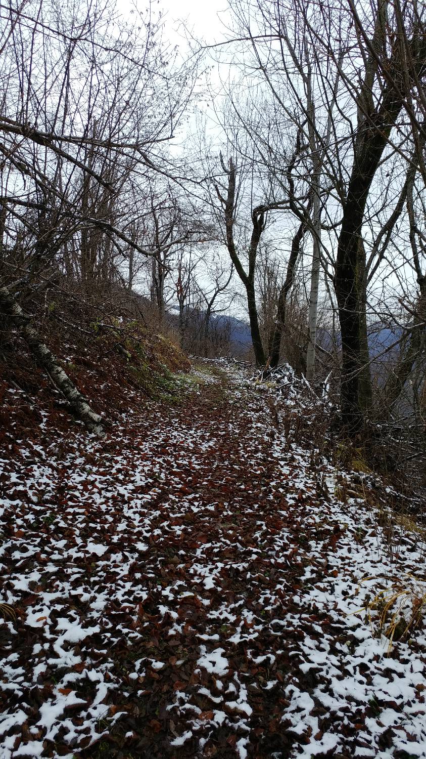 Lovska koča LD Volče - Kuk (Kolovrat) slika 5