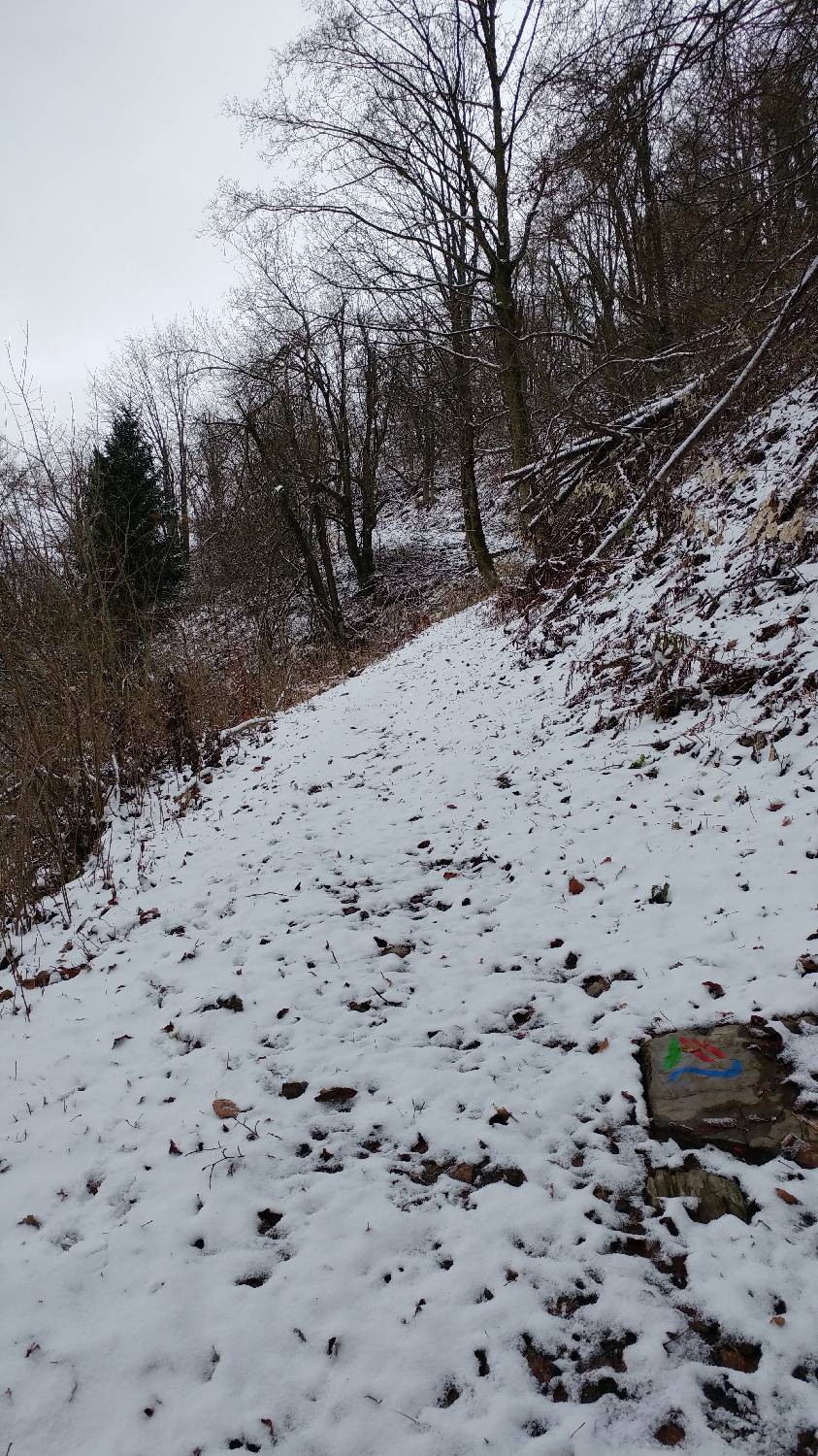 Lovska koča LD Volče - Na Gradu (Kolovrat) slika 6
