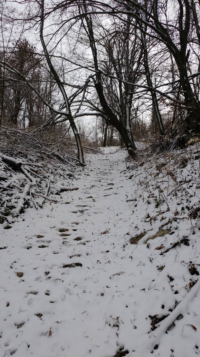Lovska koča LD Volče - Na Gradu (Kolovrat) slika 8