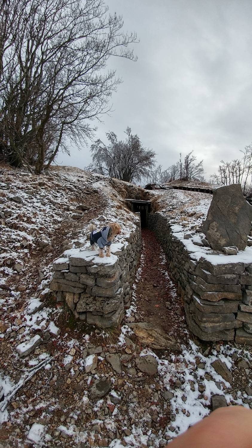 Lovska koča LD Volče - Na Gradu (Kolovrat) slika 14