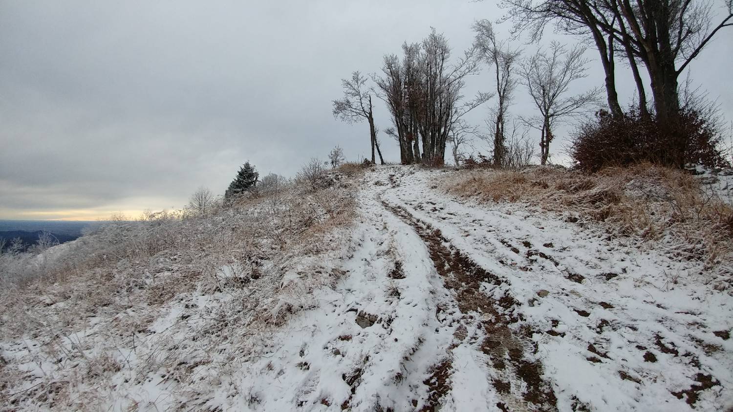 Lovska koča LD Volče - Trinški vrh (Kolovrat) slika 12