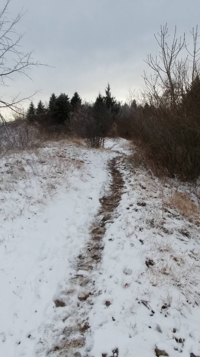 Lovska koča LD Volče - Kuk (Kolovrat) slika 13