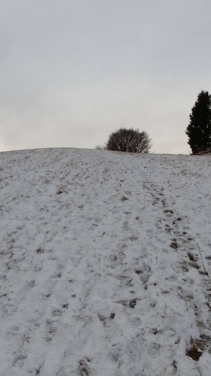 Lovska koča LD Volče - Kuk (Kolovrat) slika 18