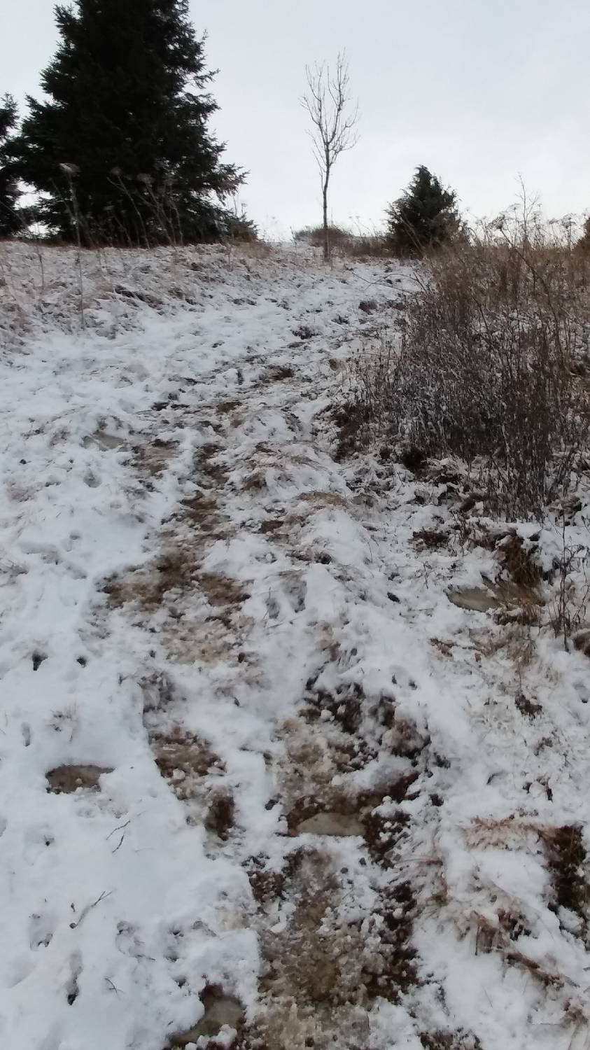 Lovska koča LD Volče - Kuk (Kolovrat) slika 20