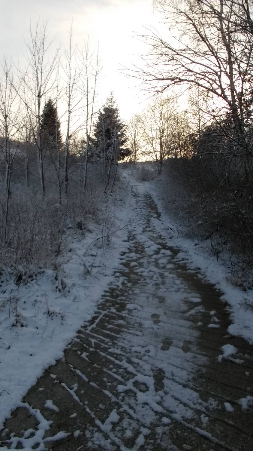 Lovska koča LD Volče - Kuk (Kolovrat) slika 32