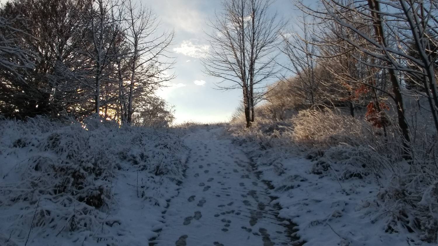 Lovska koča LD Volče - Kuk (Kolovrat) slika 35