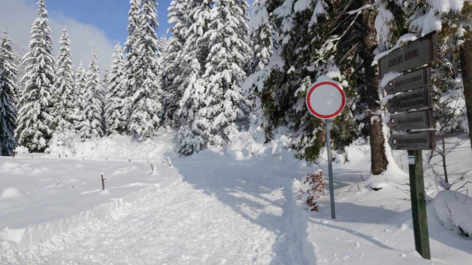 Parkirišče nad Kranjskim rakom - Mala planina slika 2