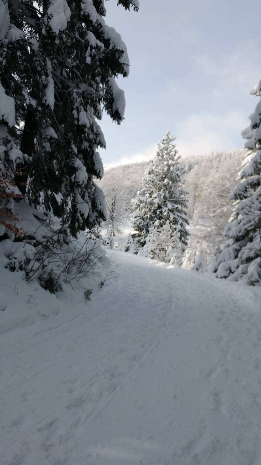 Parkirišče nad Kranjskim rakom - Mala planina slika 4