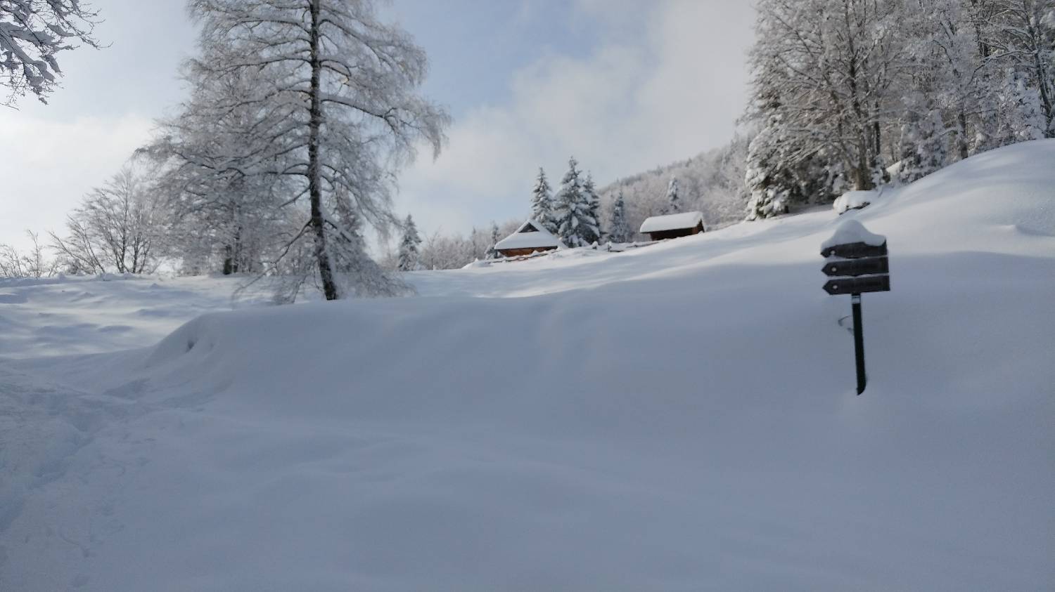 Parkirišče nad Kranjskim rakom - Mala planina slika 5