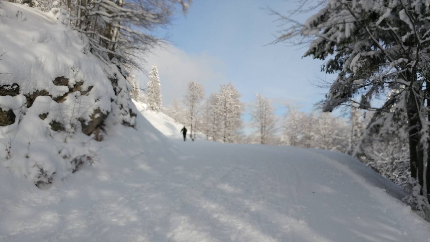 Parkirišče nad Kranjskim rakom - Mala planina slika 6