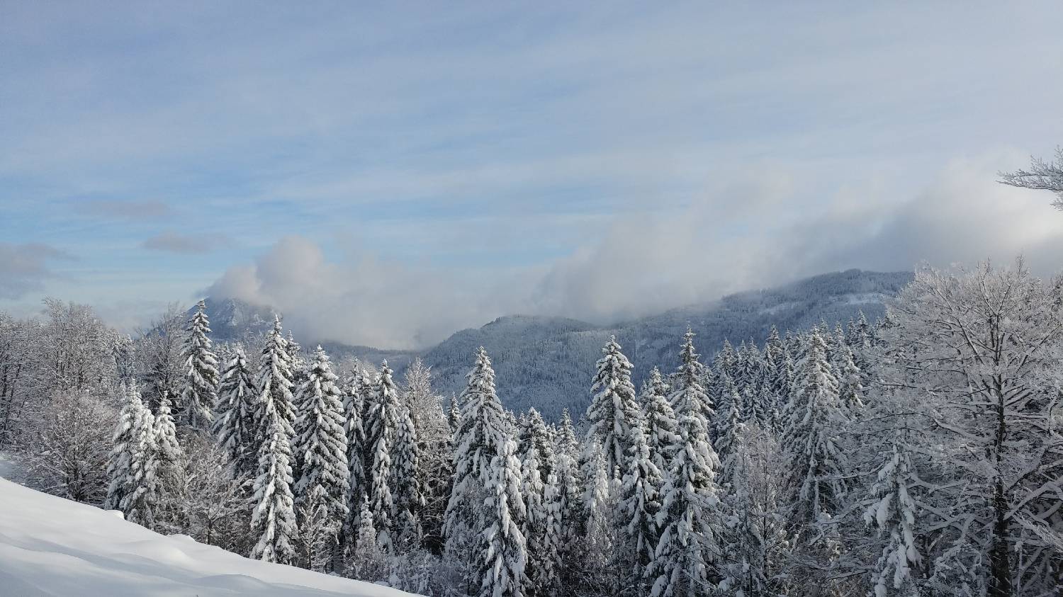 Parkirišče nad Kranjskim rakom - Mala planina slika 7