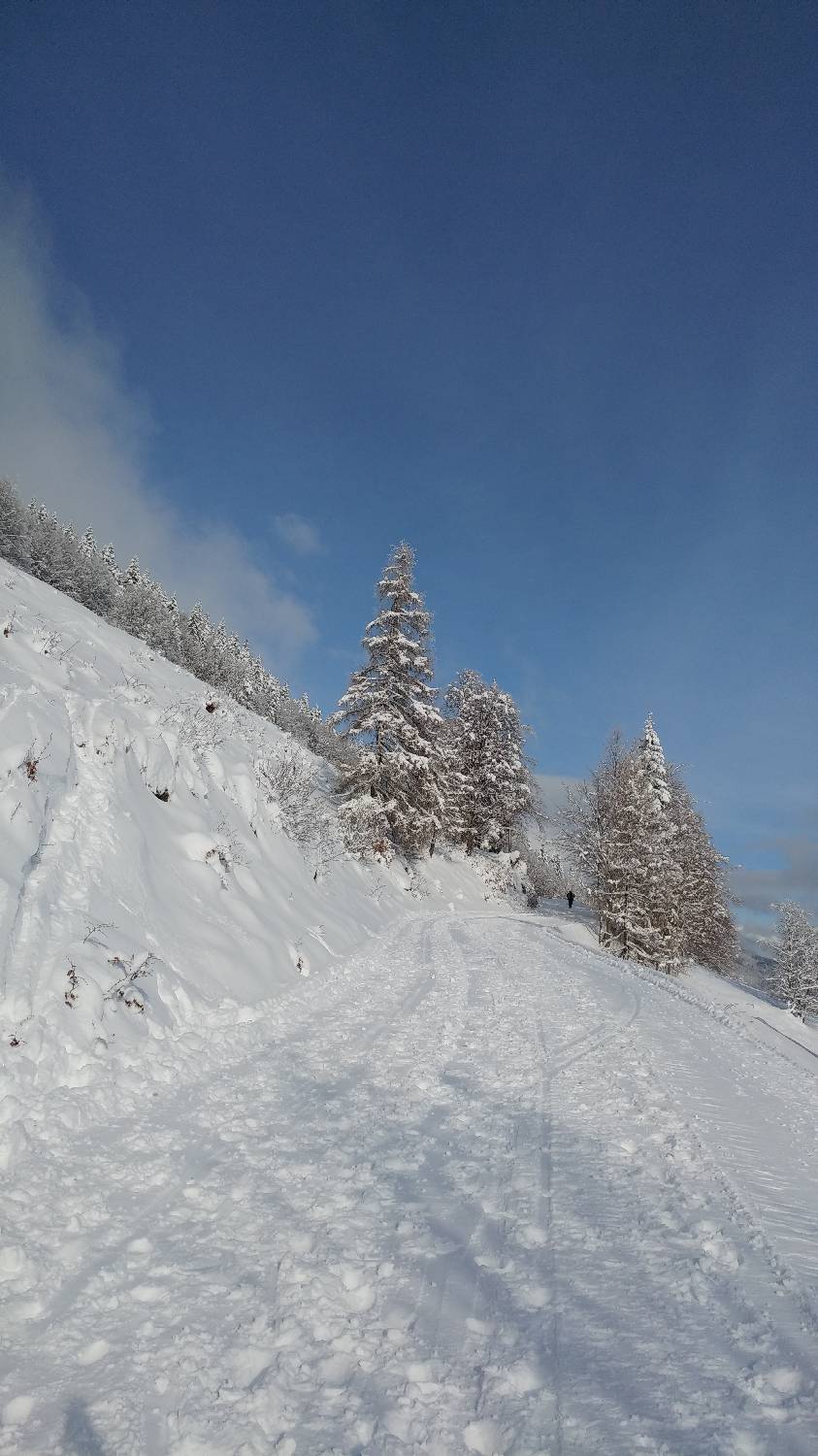 Parkirišče nad Kranjskim rakom - Mala planina slika 8
