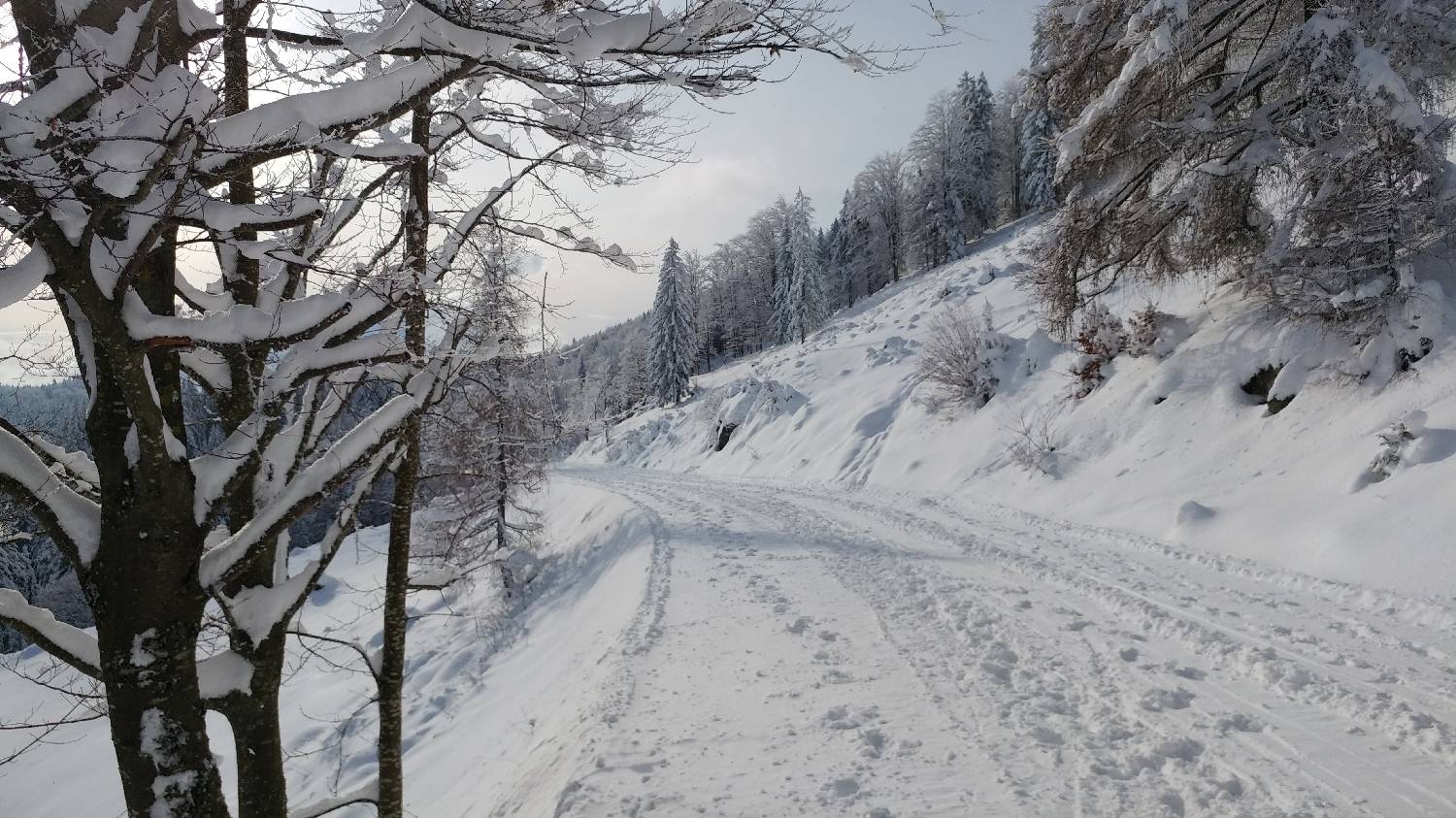 Parkirišče nad Kranjskim rakom - Mala planina slika 9
