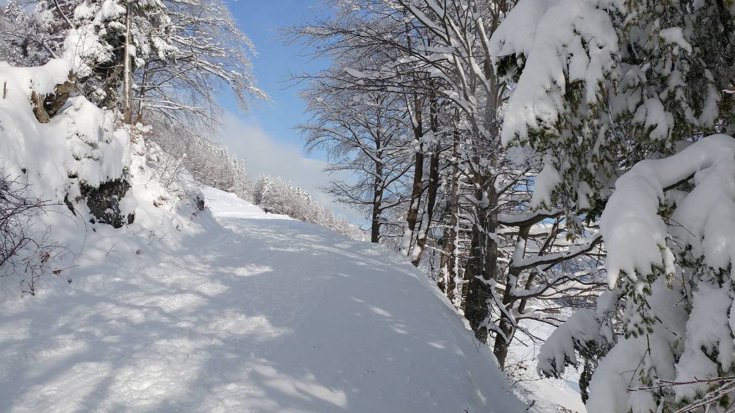 Parkirišče nad Kranjskim rakom - Mala planina slika 10