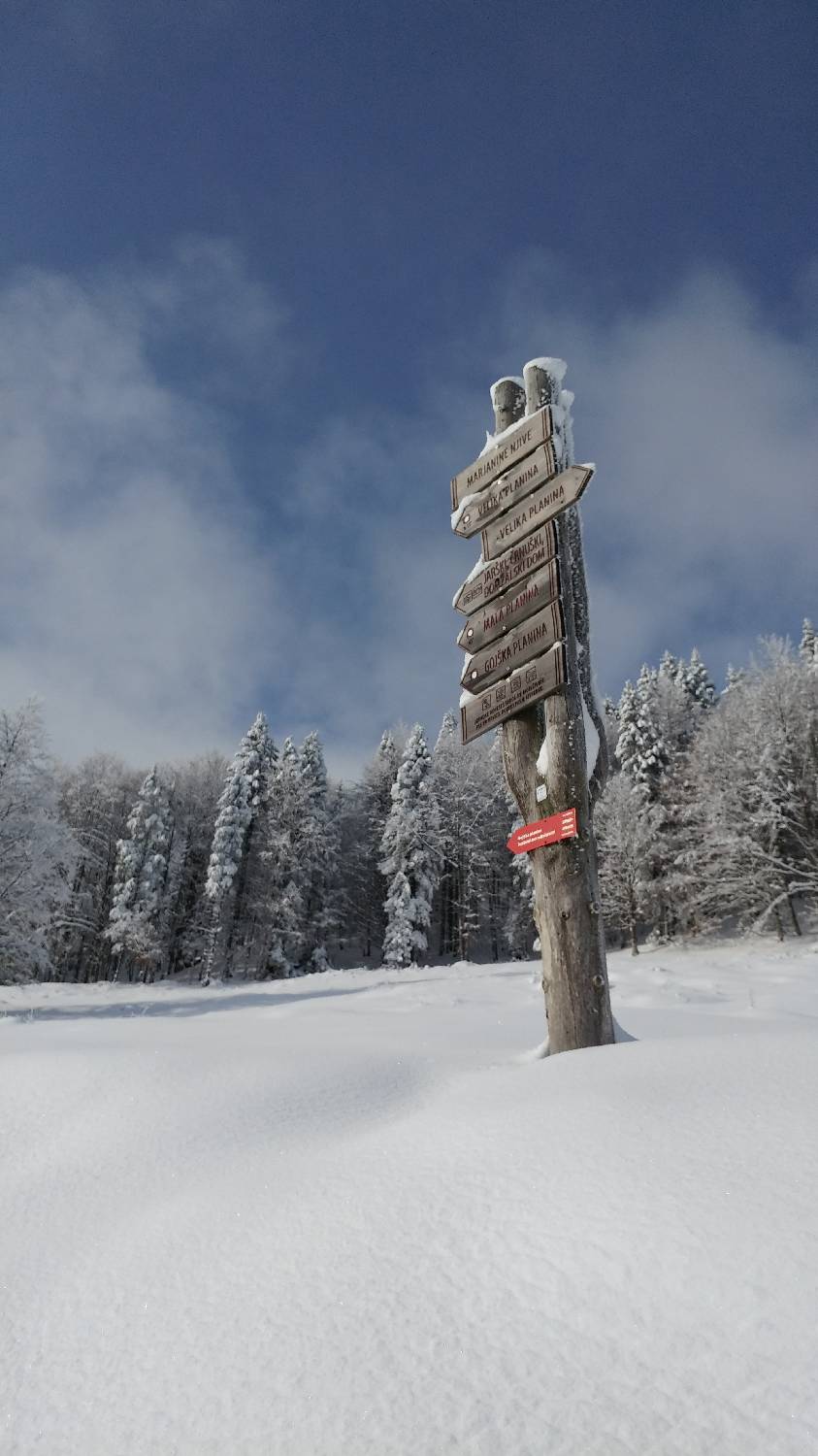 Parkirišče nad Kranjskim rakom - Mala planina slika 11