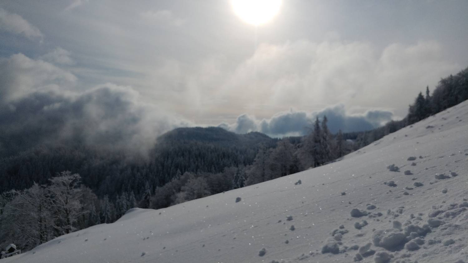 Parkirišče nad Kranjskim rakom - Mala planina slika 12