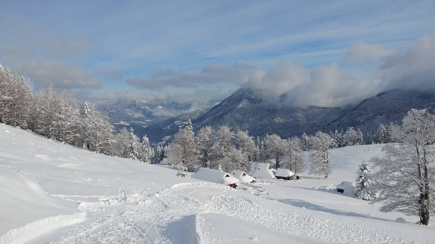 Parkirišče nad Kranjskim rakom - Mala planina slika 13