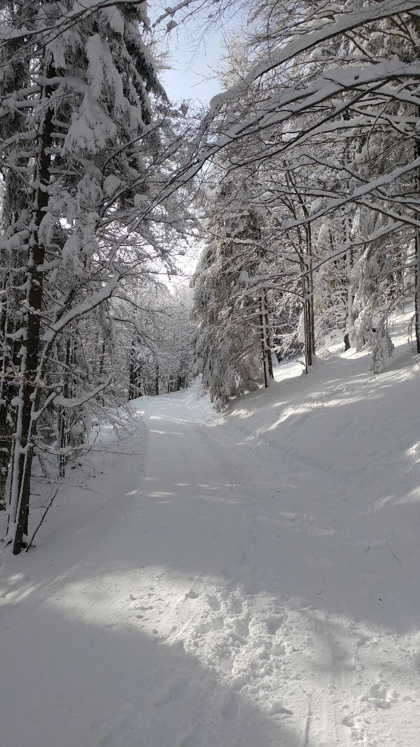 Parkirišče nad Kranjskim rakom - Mala planina slika 15