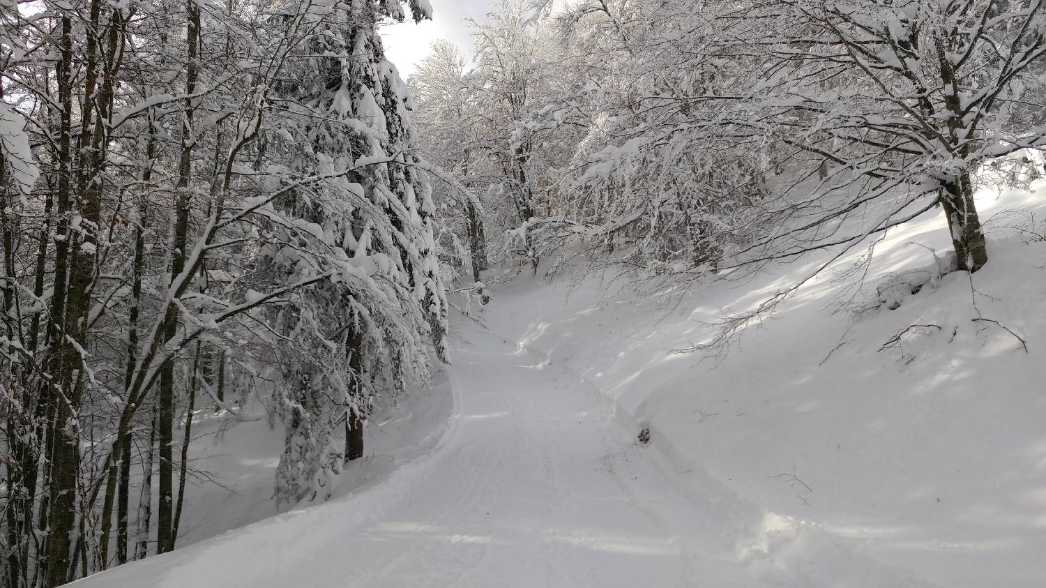 Parkirišče nad Kranjskim rakom - Mala planina slika 16