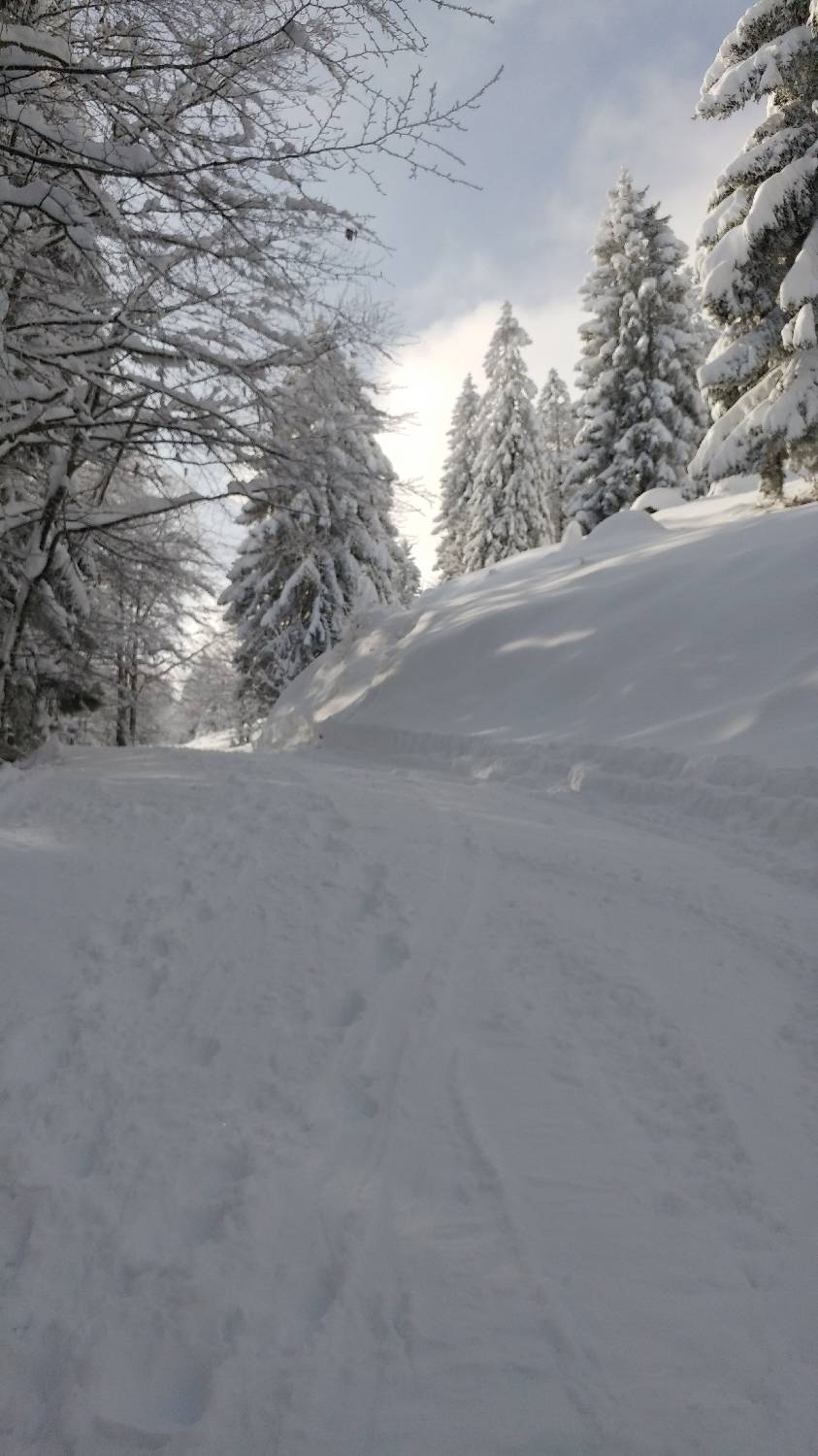 Parkirišče nad Kranjskim rakom - Mala planina slika 15