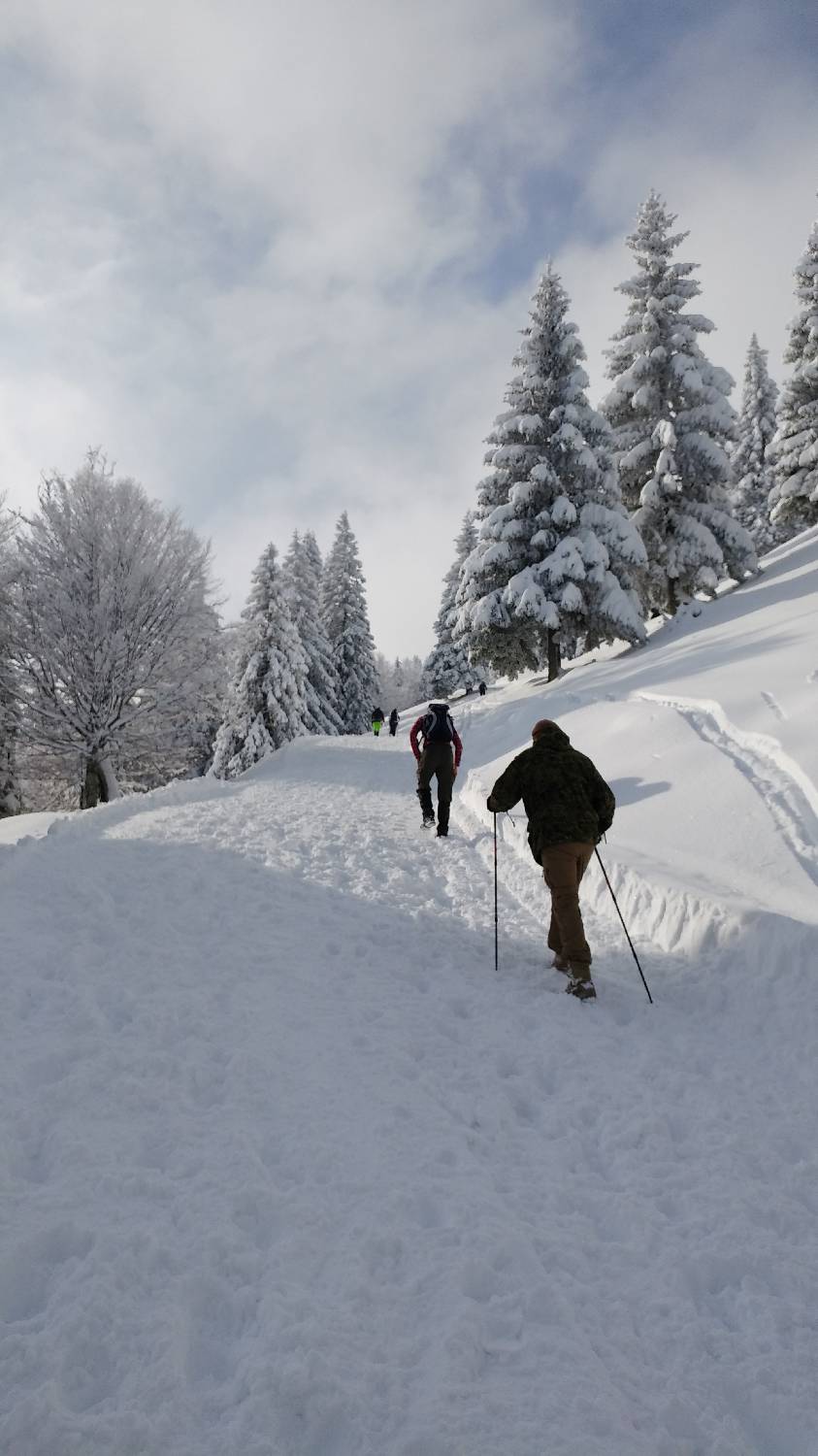 Parkirišče nad Kranjskim rakom - Mala planina slika 17