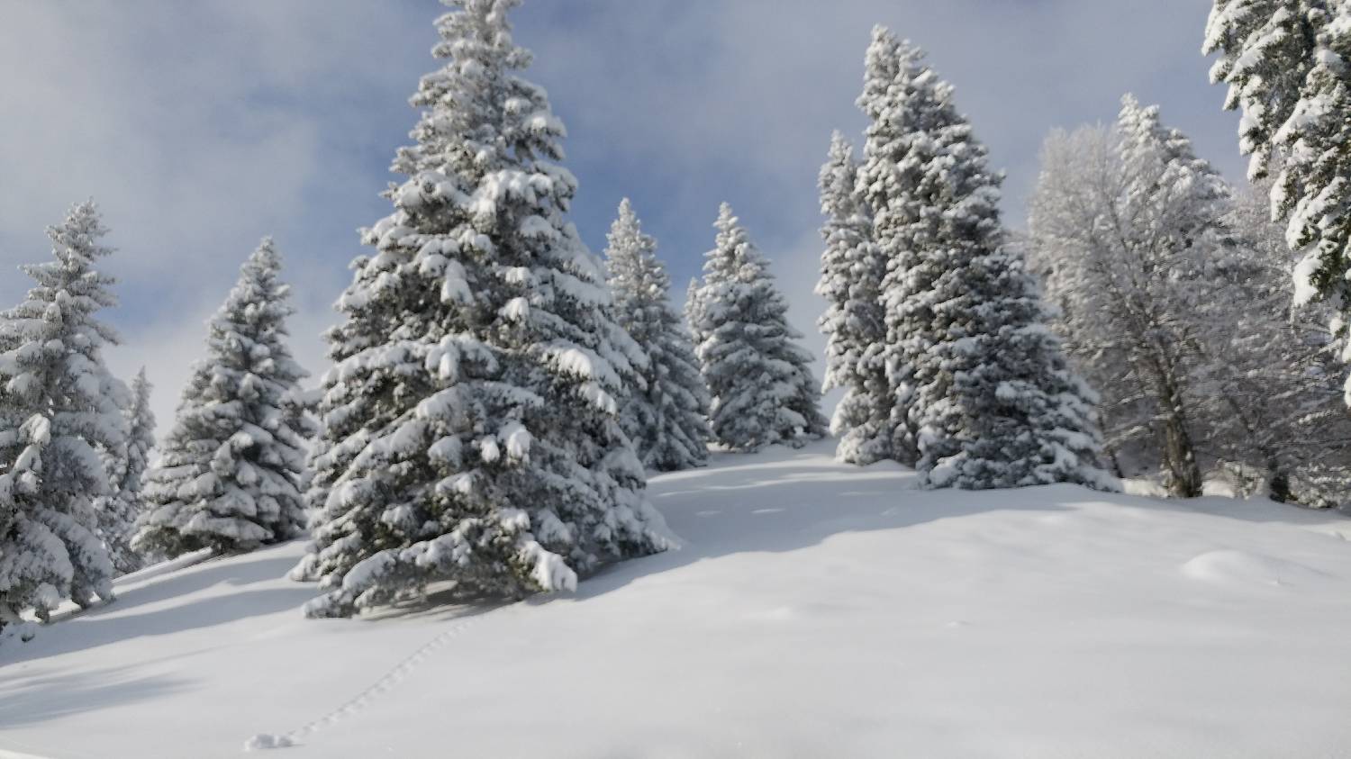 Parkirišče nad Kranjskim rakom - Mala planina slika 18