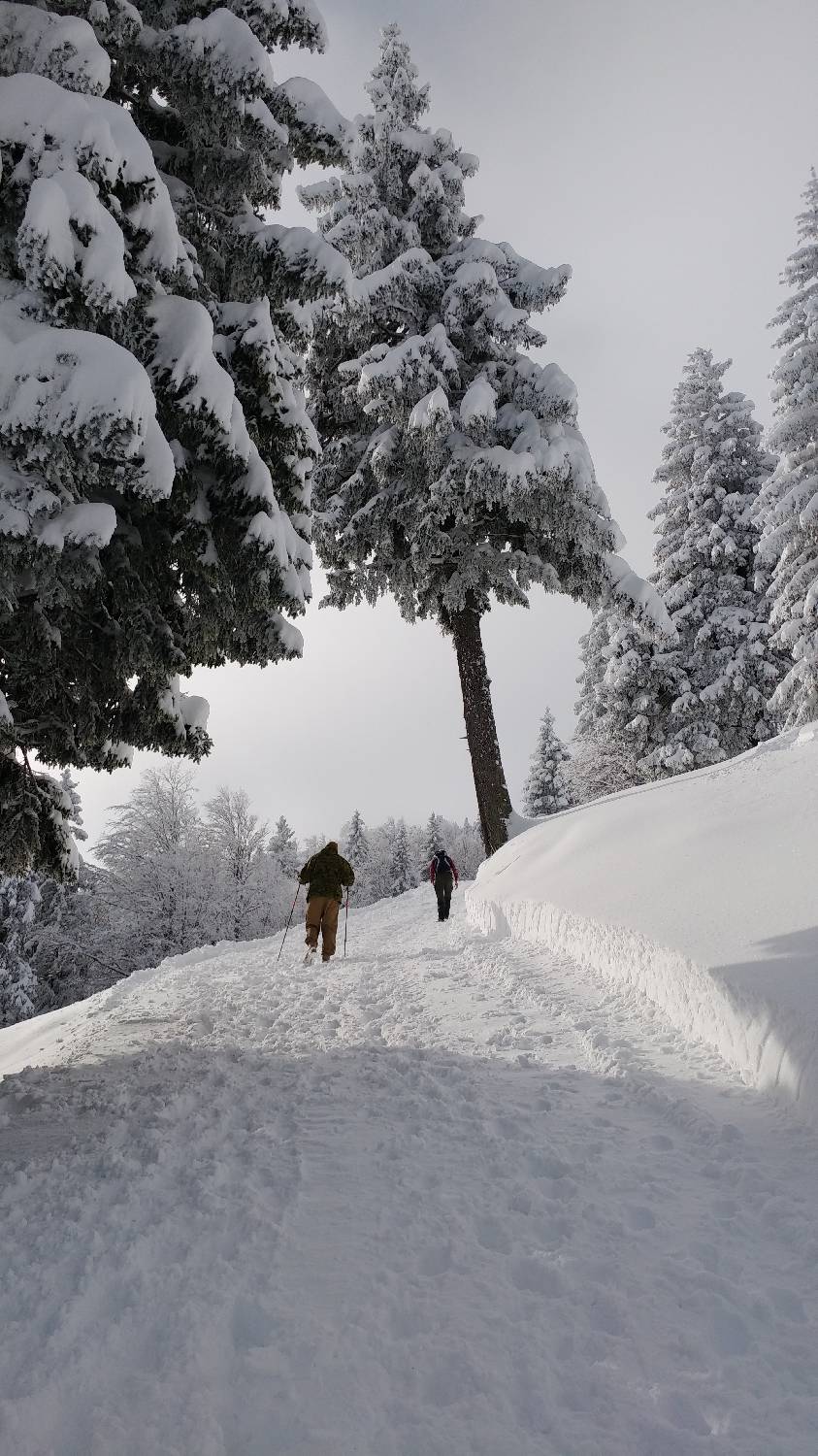 Parkirišče nad Kranjskim rakom - Mala planina slika 19