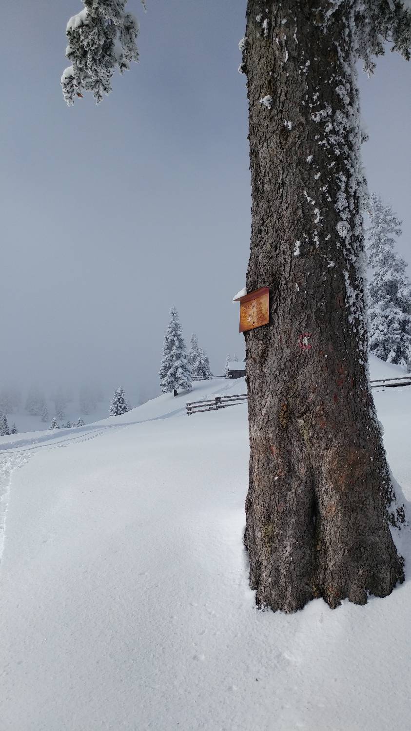 Parkirišče nad Kranjskim rakom - Mala planina slika 20