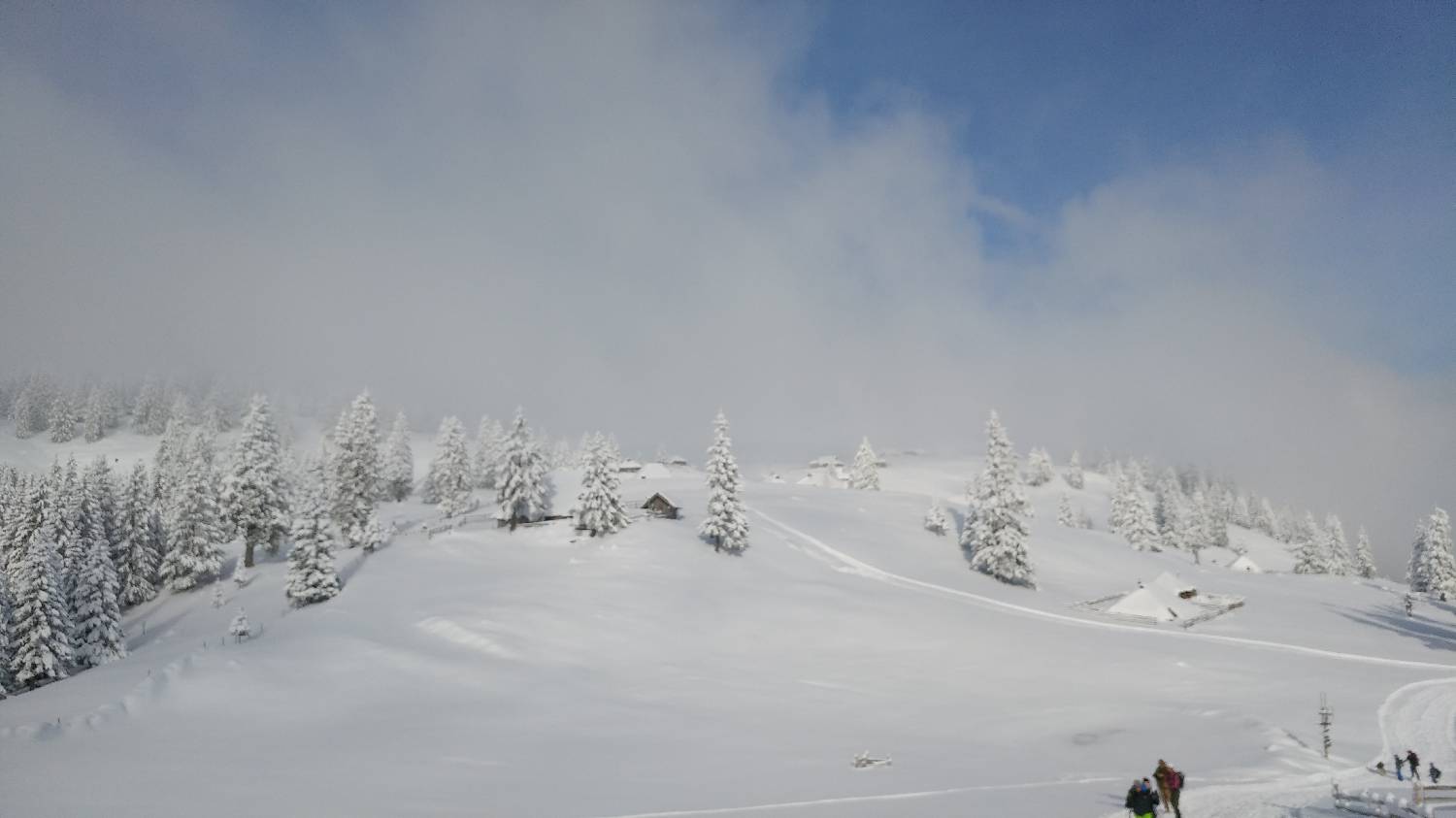 Parkirišče nad Kranjskim rakom - Mala planina slika 22