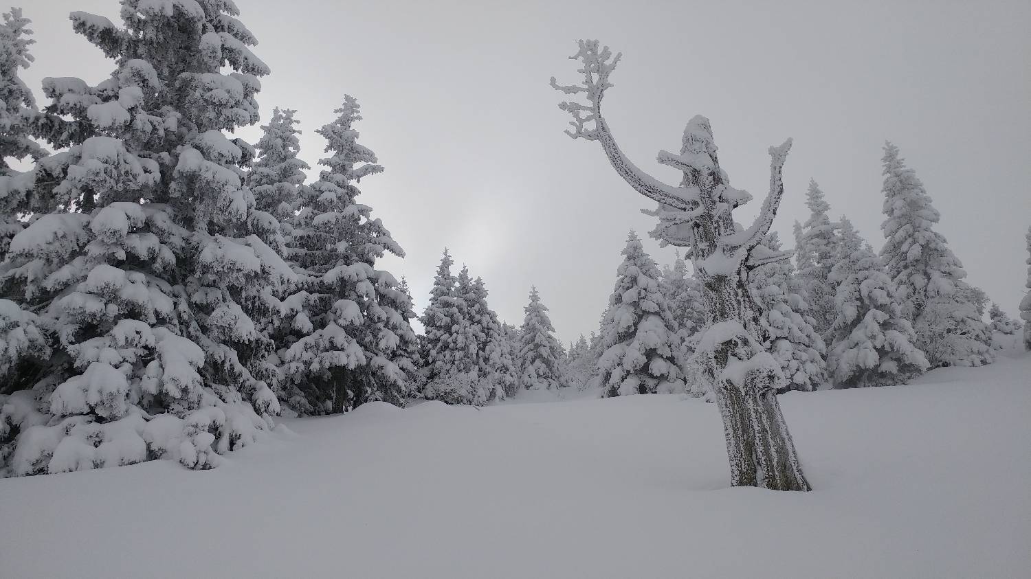 Parkirišče nad Kranjskim rakom - Mala planina slika 23