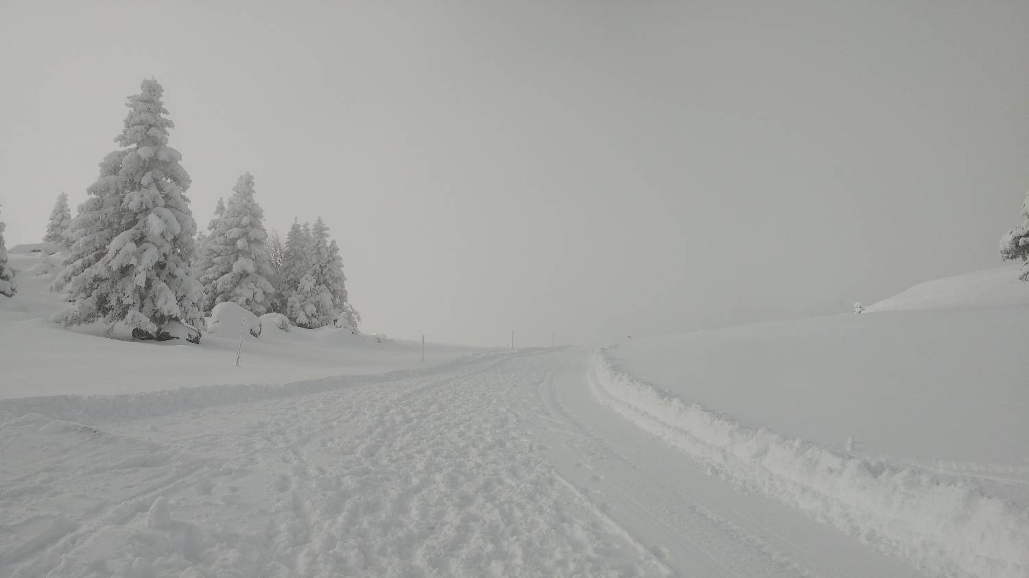 Parkirišče nad Kranjskim rakom - Mala planina slika 20