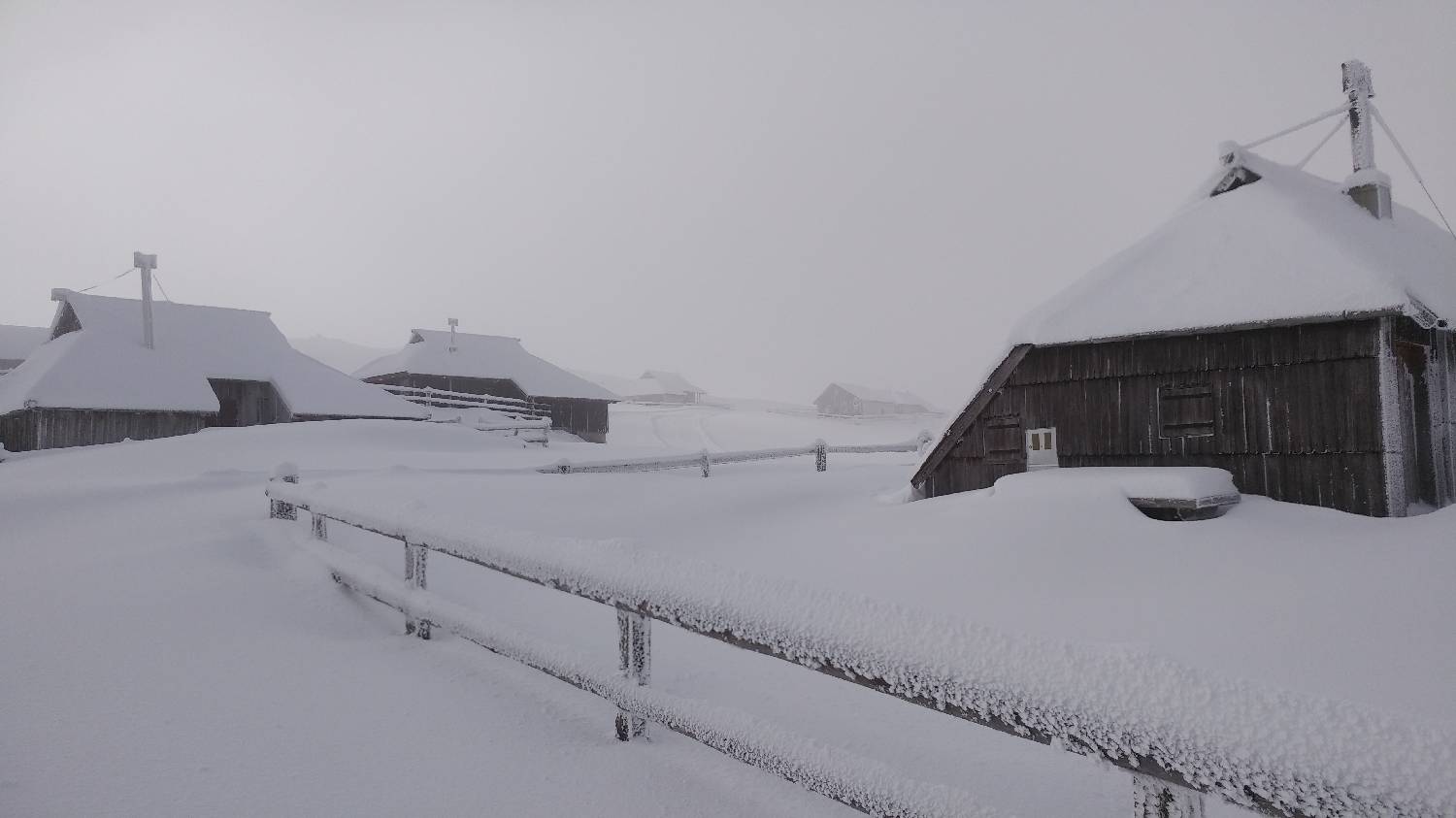 Parkirišče nad Kranjskim rakom - Mala planina slika 24