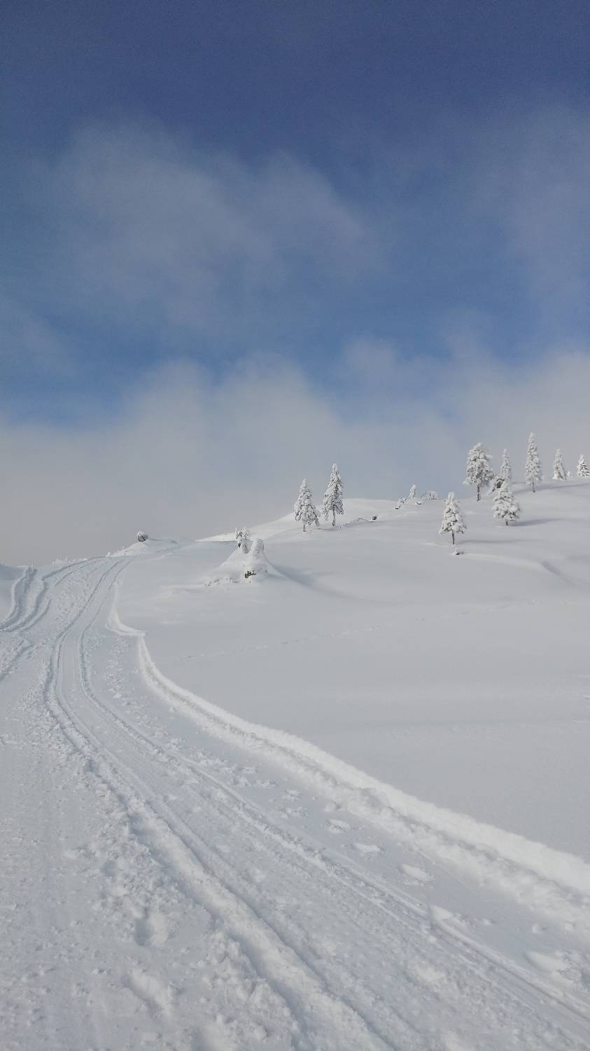 Parkirišče nad Kranjskim rakom - Mala planina slika 24