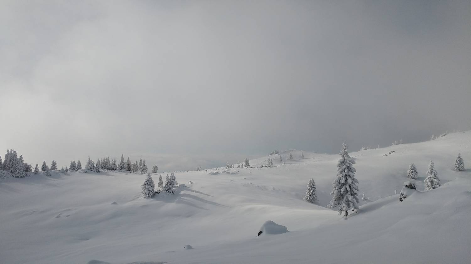 Parkirišče nad Kranjskim rakom - Mala planina slika 25