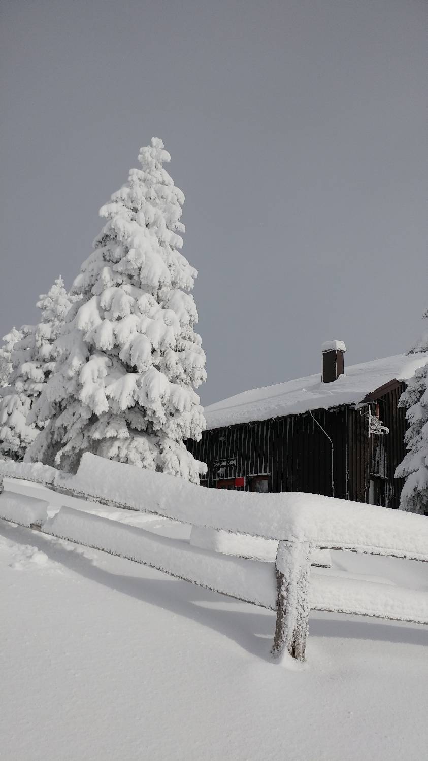 Parkirišče nad Kranjskim rakom - Mala planina slika 29