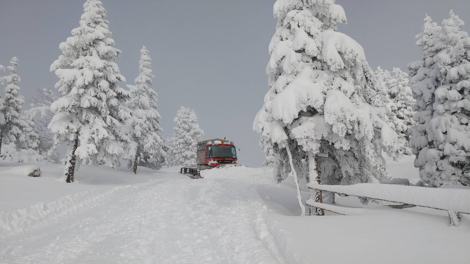 Parkirišče nad Kranjskim rakom - Mala planina slika 30