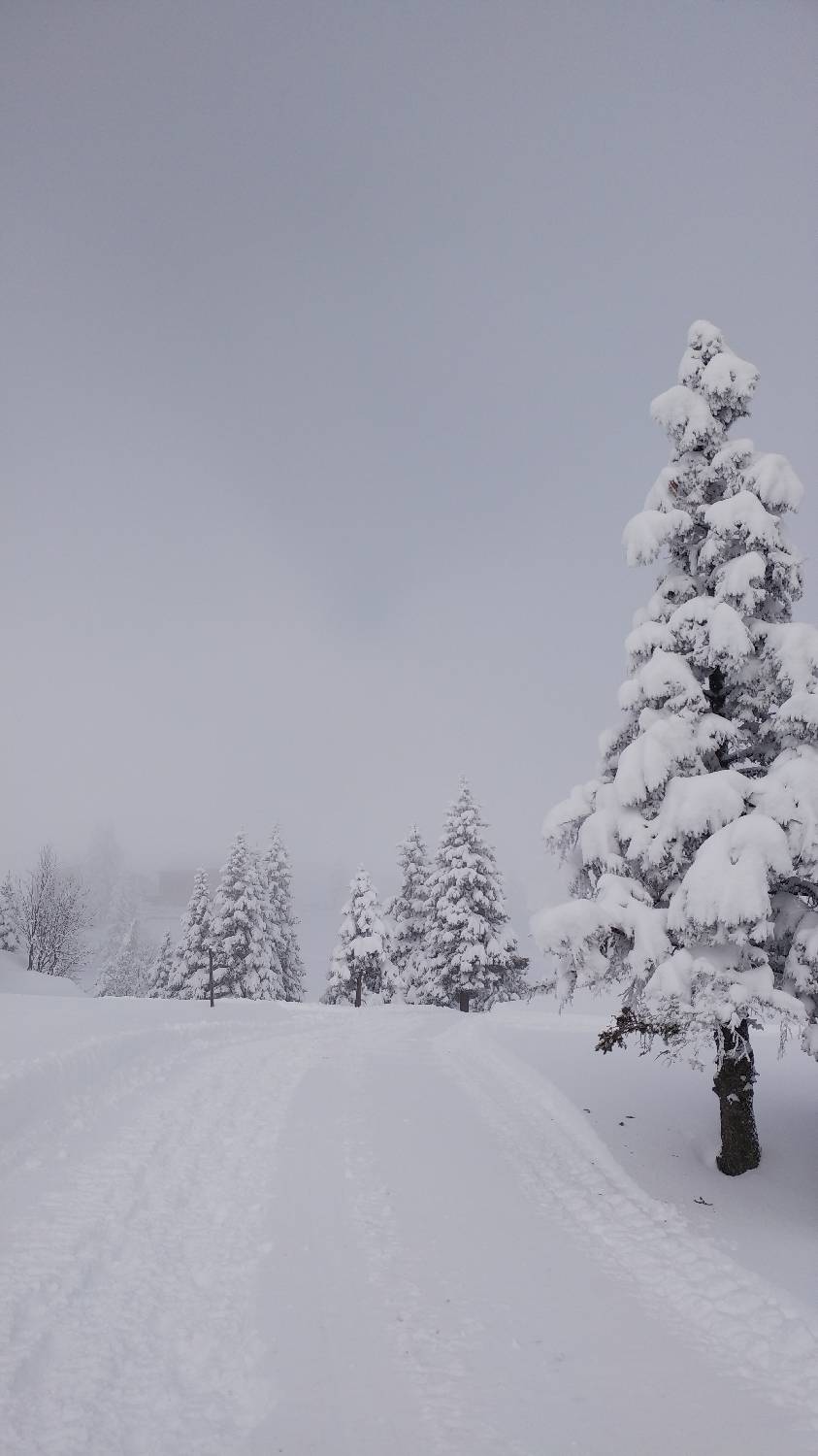 Parkirišče nad Kranjskim rakom - Mala planina slika 31