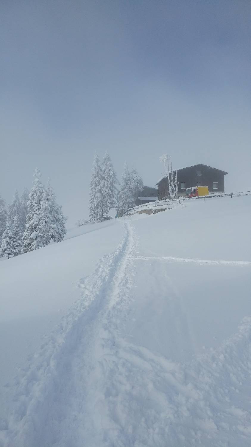 Parkirišče nad Kranjskim rakom - Mala planina slika 32