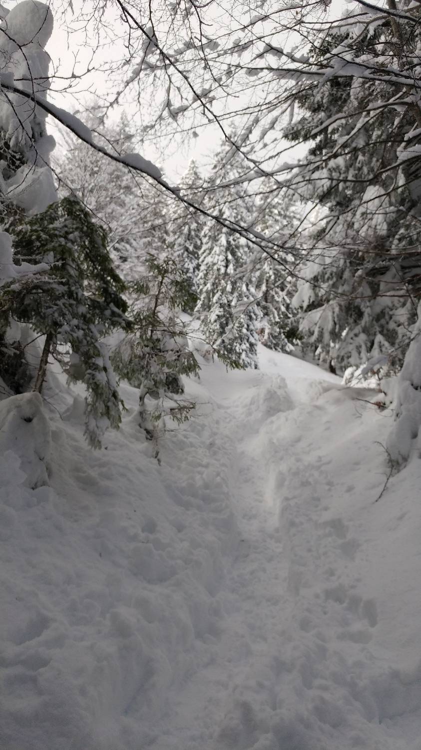 Parkirišče nad Kranjskim rakom - Mala planina slika 13