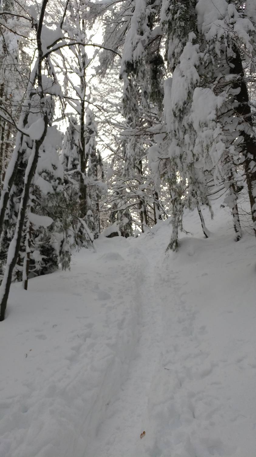 Parkirišče nad Kranjskim rakom - Mala planina slika 12