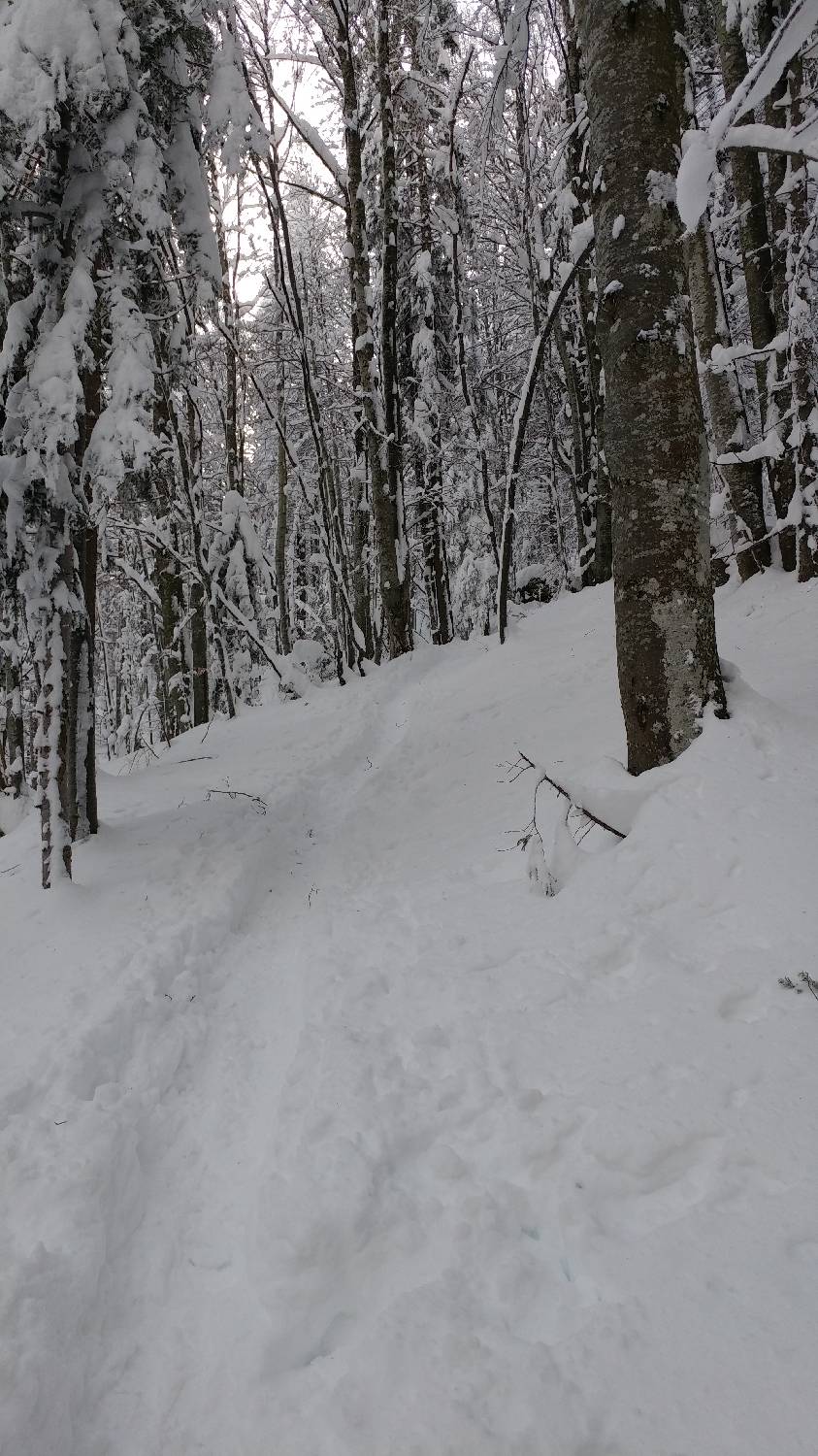 Parkirišče nad Kranjskim rakom - Mala planina slika 11