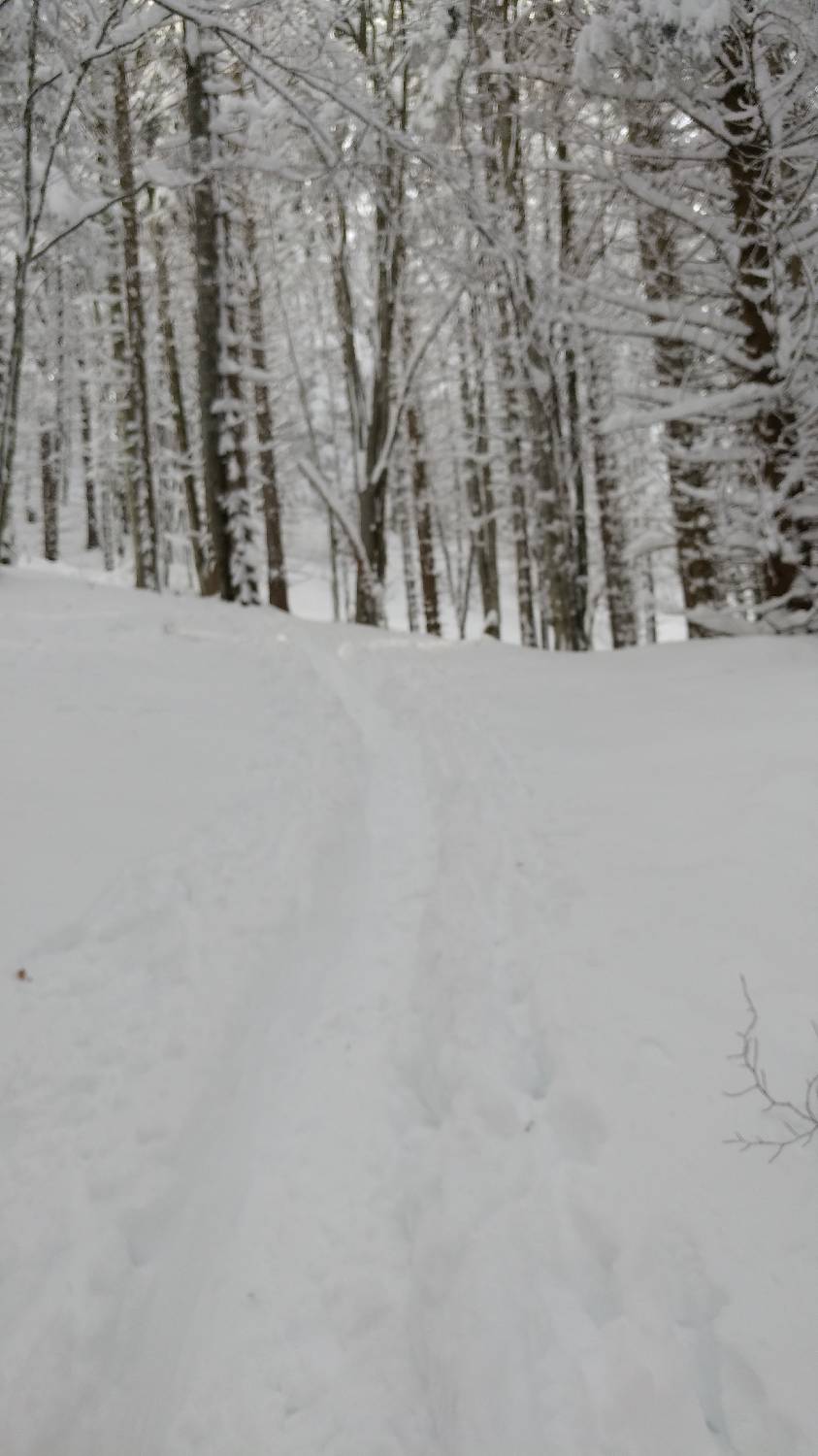 Parkirišče nad Kranjskim rakom - Mala planina slika 10