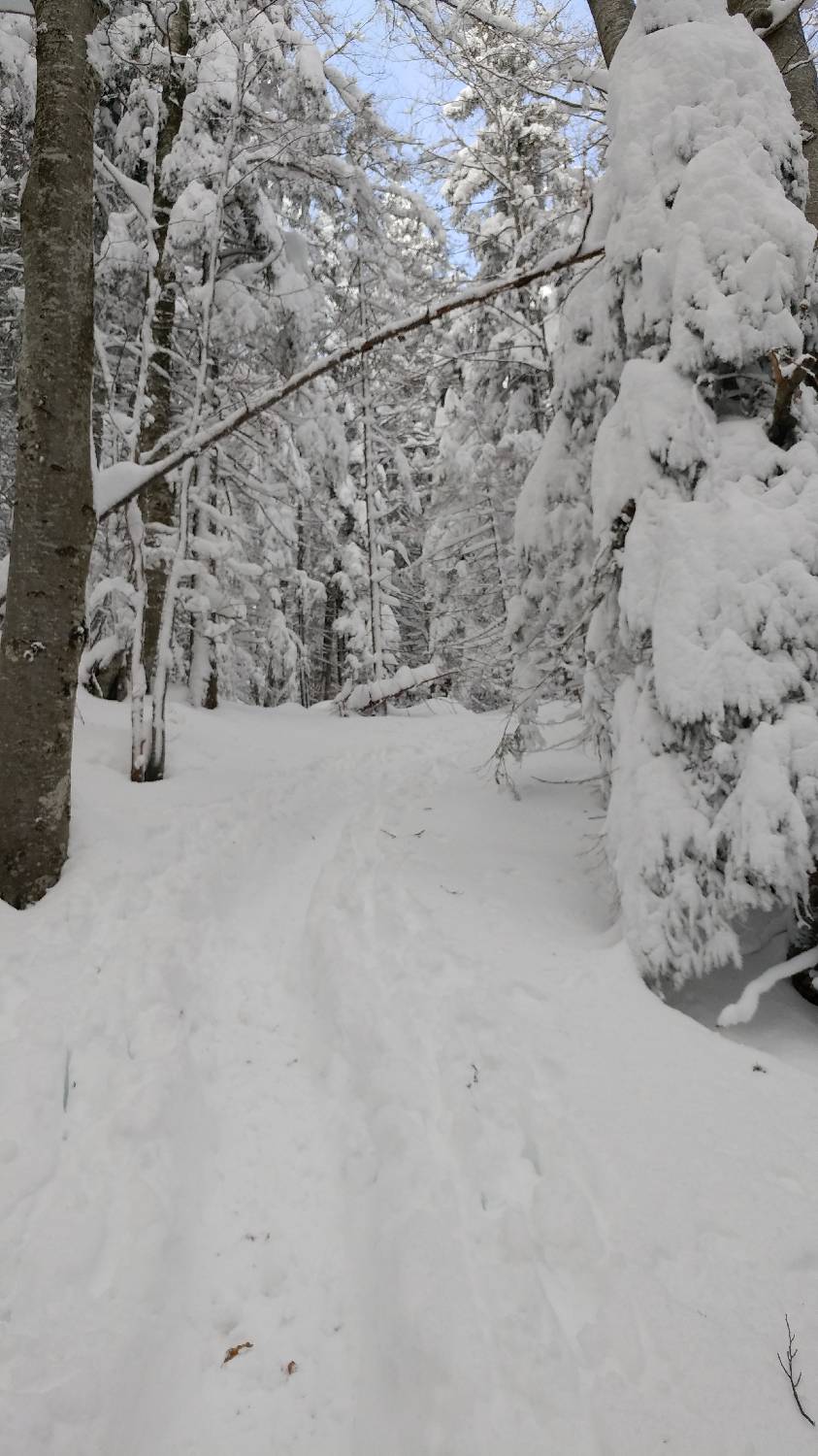 Parkirišče nad Kranjskim rakom - Mala planina slika 9