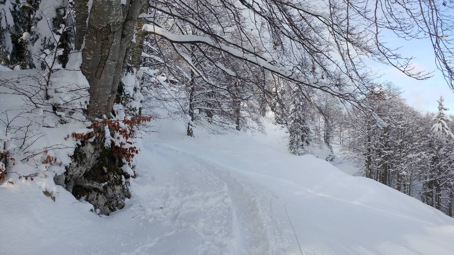 Parkirišče nad Kranjskim rakom - Mala planina slika 7
