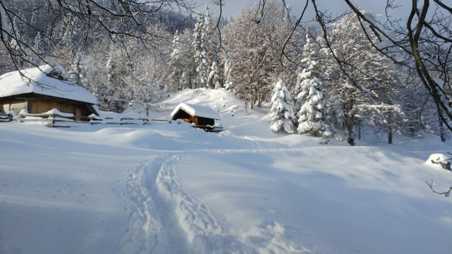 Parkirišče nad Kranjskim rakom - Mala planina slika 6