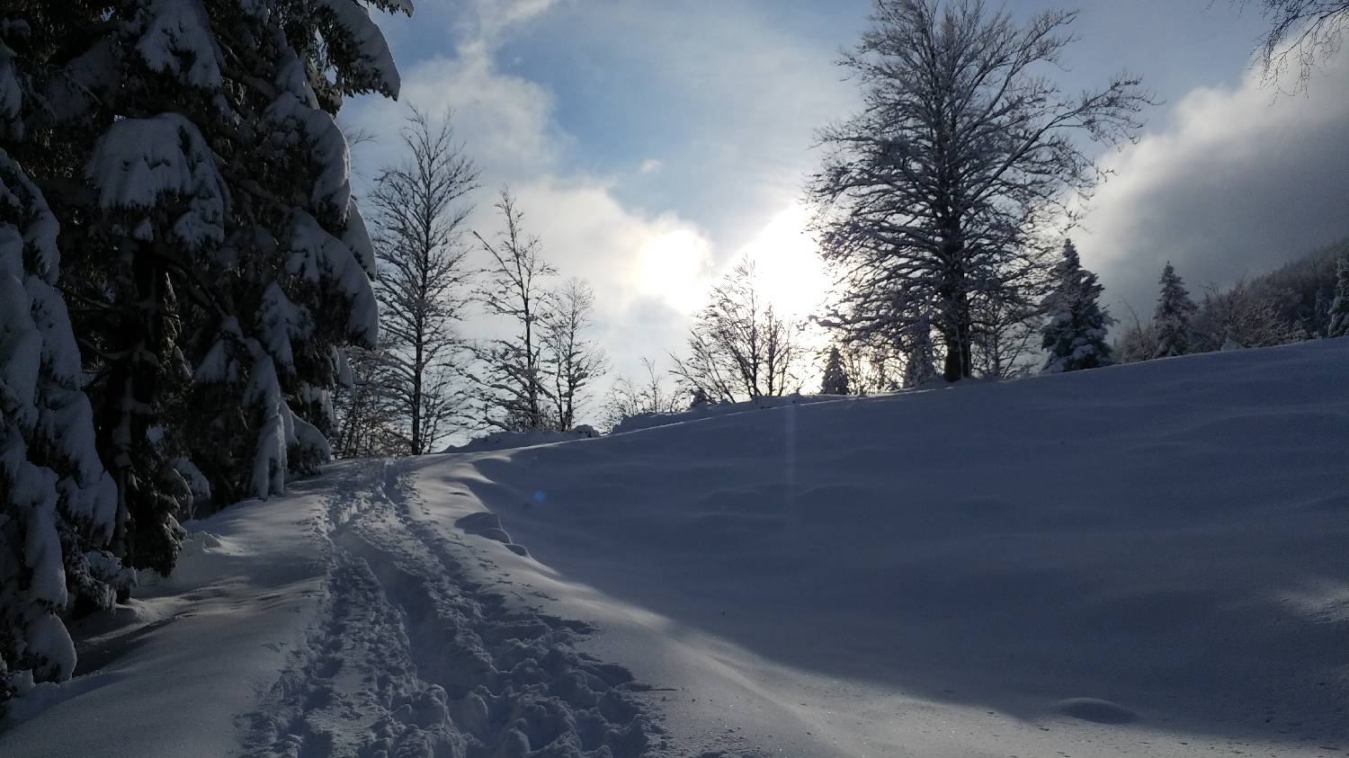 Parkirišče nad Kranjskim rakom - Mala planina slika 5