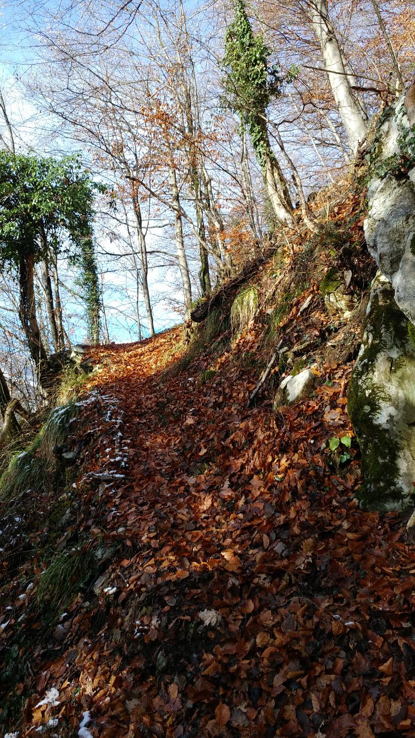 Okrepčevalnica Tolminska korita - Kobilnik slika 26