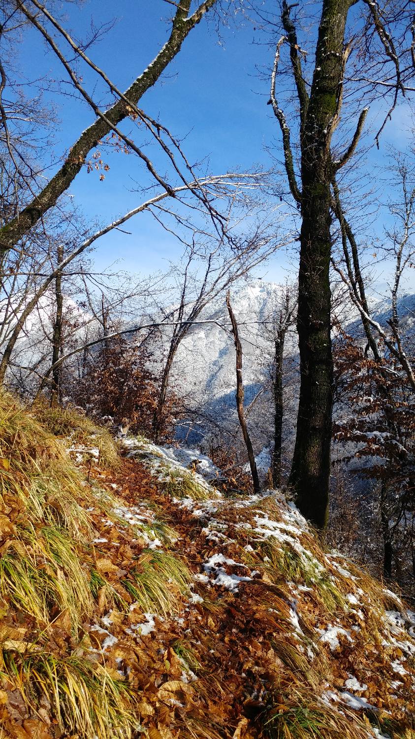 Okrepčevalnica Tolminska korita - Kobilnik slika 30