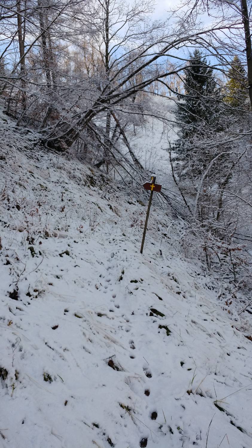Okrepčevalnica Tolminska korita - Kobilnik slika 32